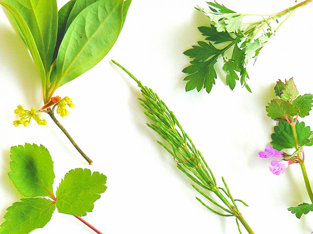 こだわりの薬剤を使用